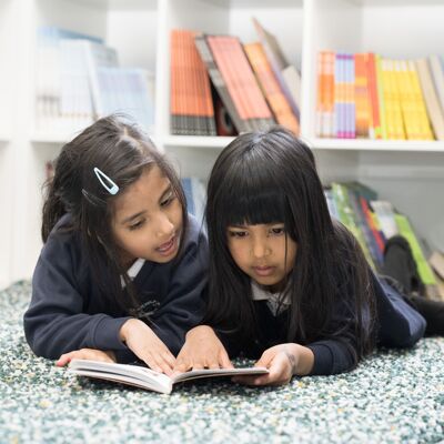 Phonics and reading